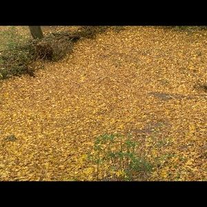 Meet your Posher, Esther